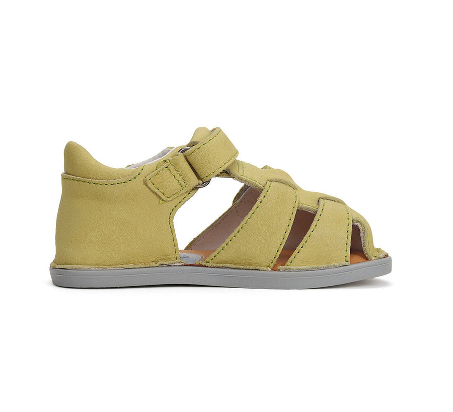 D.d.step boys leather/ barefoot sandals/ Khaki G076-42942A_3555.jpg