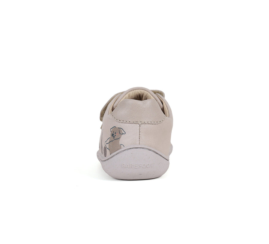 D.D.Steps Stitch and Walk Barefoot Boy's Leather shoes(S088-51948)